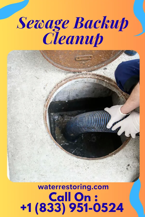 Sewage Backup Cleanup in Rossville, GA